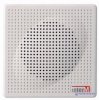 Громкоговоритель APT-01А